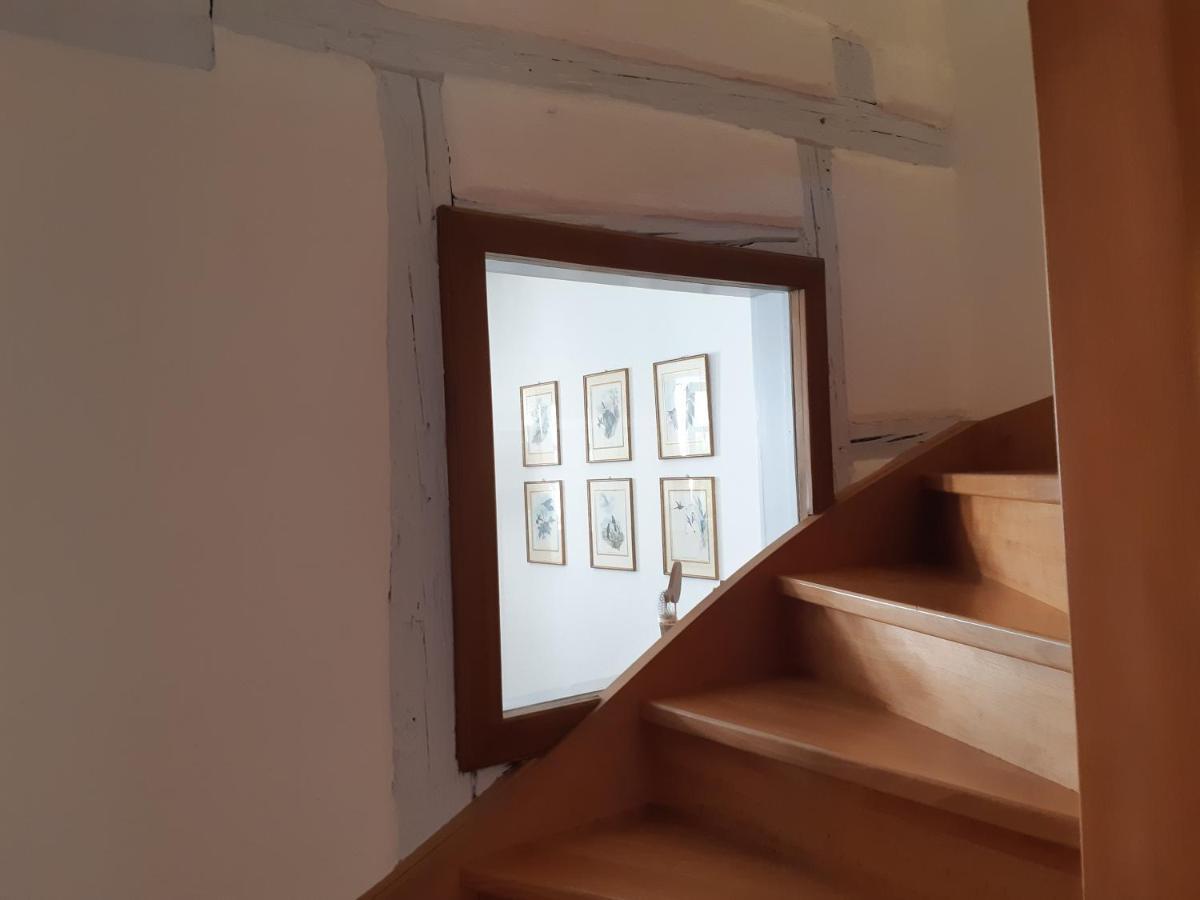 Margot - Hyper Centre Colmar Apartment Ngoại thất bức ảnh